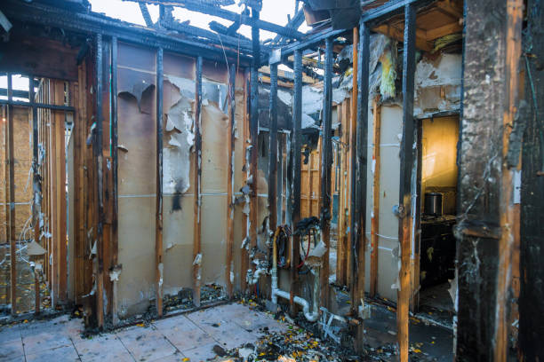 Professional Fire Damage Removal technician working in Ridgway, CO